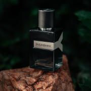 Photo by Sebastian1623