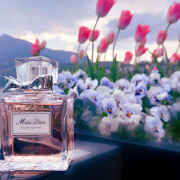 Miss Dior Eau de Toilette 2019 Dior perfume - a fragrância