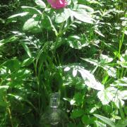 Photo by Vibia Sabina