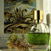 Arbolé Arbolé Hiram Green perfume - a fragrance for women and men 2016