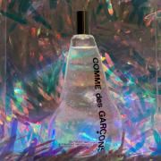 Stüssy Laguna Beach by Comme des Garçons » Reviews & Perfume Facts