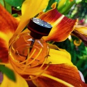 Le Baiser Du Dragon Cartier perfume - a fragrance for women 2003