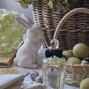 Photo by Лиза Брж