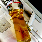 Photo by AndyWarholsFavouriteWig