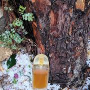 Photo by Лейка@@@