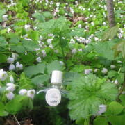 Photo by Vibia Sabina