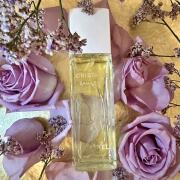 CHANEL CRISTALLE EAU VERTE 100ml 残量満タン Chanel Cristalle Eau Verte Eau De Toilette Concentree Spray