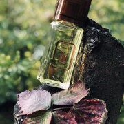 Sikkim Parfum Lancôme perfume - a fragrância Feminino 1971