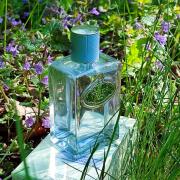 Infusion d'Amande Prada perfume - a fragrance for