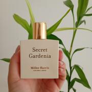 Secret Gardenia Miller Harris perfume - a fragrance for