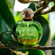 Tendre Poison by Christian Dior 3.4 oz EDT for women, Om Fragrances