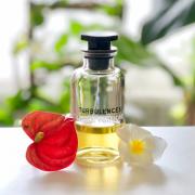 Louis Vuitton Turbulence type body oil (women) – Exotic-Aroma