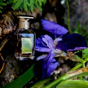 Iris Pallida Extrait 6 Guerlain parfüm - kadınlar ve erkekler için
