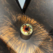 Photo by Rock N Roll Sami