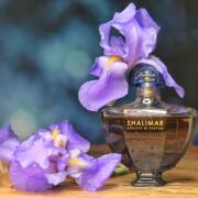 Shalimar Souffle de Parfum Guerlain perfume - a fragrance