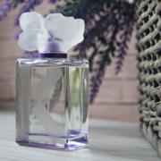 Kenzo couleur kenzo shop violet eau de parfum