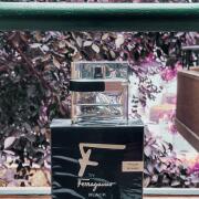 F by Ferragamo Black Salvatore Ferragamo cologne - a