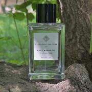 Essential Parfums ローズマグネティック Amazon | Essential Parfums Rose Magnetic EDP/エッセンシャル