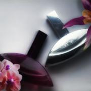 Forbidden Euphoria Calvin Klein perfume - a fragrance for women 2011