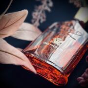 Delphinus Creed perfume - a new fragrance for women and men 2024