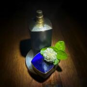 BVLGARI　GYAN ブルガリ　ガイアン　30ml EDP SP Bvlgari Le Gemme Gyan Eau de Parfum - Mundo dos Decants