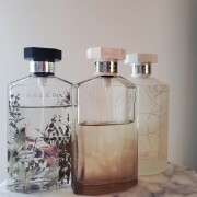Sheer Stella 2008 Stella McCartney perfume - a fragrance for women