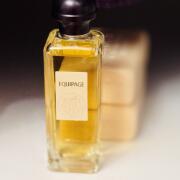 Equipage Hermès cologne - a fragrance for men 1970