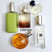 香水(ユニセックス) HERMES UN JARDIN SUR LA LAGUNE 30ml Amazon.com : Un Jardin Sur La Lagune by Hermes for Women 3.3