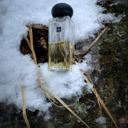 Darjeeling Tea Jo Malone London perfume - a fragrance for women