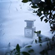 Soleil discount neige fragrantica