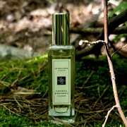 Lime Basil & Mandarin Jo Malone London 香水- 一款1999年中性香水