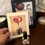Cocco alla Vaniglia Kyse Perfumes perfume - a fragrance for