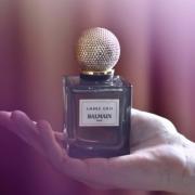 vindruer Flagermus Tilføj til Ambre Gris Pierre Balmain perfume - a fragrance for women 2008