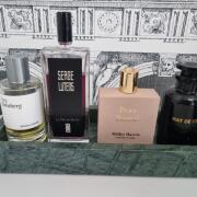 Nuit de Feu Louis Vuitton perfume - a fragrance for women Nuit de Feu Louis Vuitton perfume - a fragrance for women