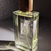 Bohemian Lime Goldfield & Banks Australia perfume - a fragrance for ...