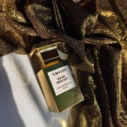 Soleil Brûlant Tom Ford perfume - a new fragrance for women and men 2021
