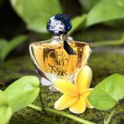 Photo by HelenRainbow