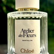 Santalum Chloé perfume - a new fragrance for women and men 2022