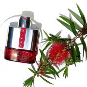 Luna Rossa Sport Prada cologne - a fragrance for men 2015