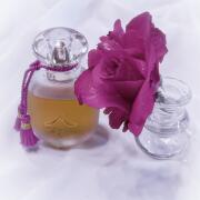 香水(女性用) Les Parfums de Rosine Eau de Parfum 50ml Les Parfums de Rosine Rose d'Ete 50 ml – Beautyhabit
