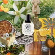 Photo by TheTeaWitch🐈⬛