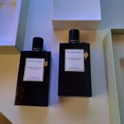 Photo by Constantin91