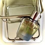 Photo by AndyWarholsFavouriteWig