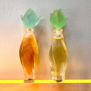 Nilang Lalique perfume - a fragrância Feminino 1995