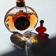 Cleopatra Aurora Scents perfume - a fragrance for women 2022