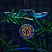 Photo by Gowtham V R