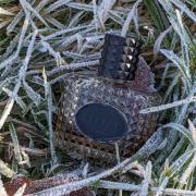 Photo by пушистый_мотыль