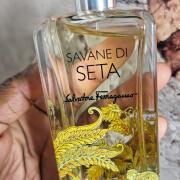 Amazon.com : Savane Di Seta by Salvatore Ferragamo for