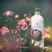 Photo by dikoobrazik