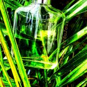Dune Pour Homme Dior cologne - a fragrance for men 1997